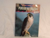 Peregrine Falcon: Saved from Extinction! (Animals Under Threat)
