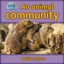 An Animal Community (My World)