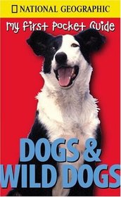 Dogs and wild Dogs (My first pocket guide)
