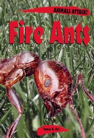 Animals ATTACK! - Fire Ants (Animals ATTACK!)
