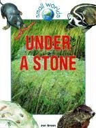 Under a Stone (Small Worlds)