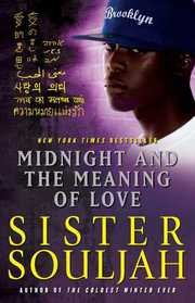 Midnight and the Meaning of Love (Midnight, Bk 2)