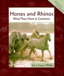 Horses and Rhinos: What They Have in Common (Animals in Order)
