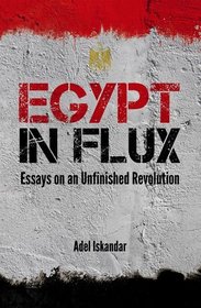 Egypt in Flux: Essays on an Unfinished Revolution