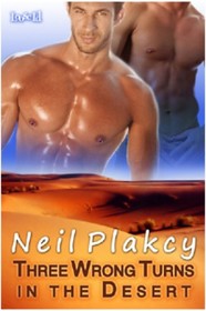 Three Wrong Turns in the Desert (Have Body, Will Guard, Bk 1)