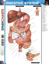 Digestive System (SparkCharts) (SparkCharts)