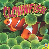 Clownfish (Ocean Life)
