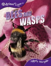 Bees and Wasps (QED Animal Lives)