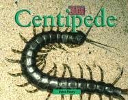 Centipede (Bugs)