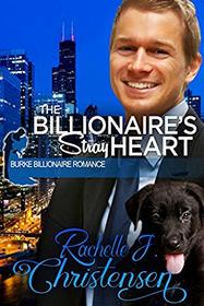 The Billionaire's Stray Heart (Burke Billionaire Romance) (Volume 2)
