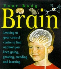 The Brain (Your Body)