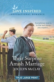Their Surprise Amish Marriage (Love Inspired, No 1364) (True Large Print)