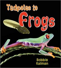 Tadpoles to Frogs (It's Fun to Learn About Baby Animals)