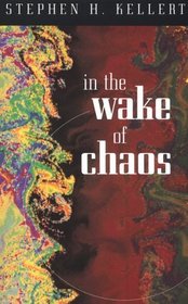 In the Wake of Chaos : Unpredictable Order in Dynamical Systems (Science and Its Conceptual Foundations series)