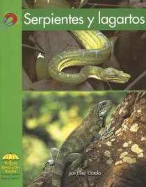 Serpientes Y Lagartos/ Snakes and Lizards (Yellow Umbrella Books: Science Spanish) (Spanish Edition)