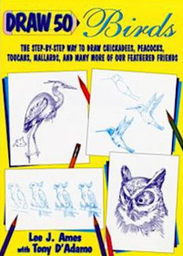 Draw 50 Birds (Draw 50 Series , No 25)