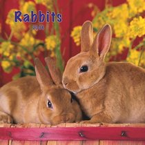 Rabbits 2008 Square Wall Calendar
