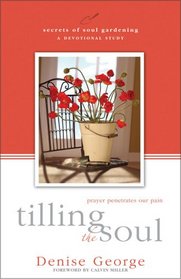 Tilling the Soul: Prayer Penetrates Our Pain (Tilling the Soul)