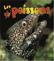 Les Poissons / What Is a Fish? (Le Petit Monde Vivant / Small Living World) (French Edition)