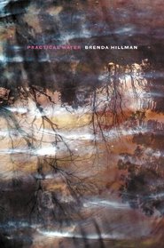 Practical Water (Wesleyan Poetry Series)