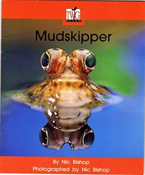 Mudskipper (Twig Books, Non Fiction Set HH)