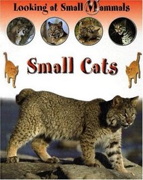 Small Cats (Morgan, Sally. Looking at Small Mammals.)