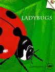 Ladybugs (Old Edition) (Great Explorations in Math and Science)