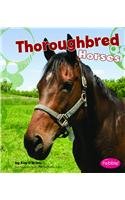 Thoroughbred Horses (Pebble Books)