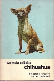 How to Raise  Train a Chihuahua
