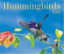 Hummingbirds 2007 (Calendar)