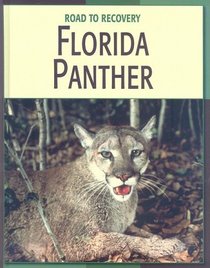 Florida Panther (Road to Recovery)