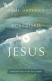 Surprised by Jesus: Subversive Grace in the Four Gospels