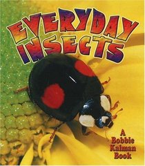 Everyday Insects (The World of Insects)