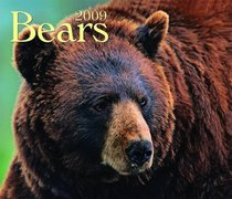 Bears 2009 (Calendar)