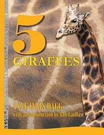 5 Giraffes (5 Animals)