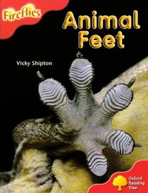 Oxford Reading Tree: Stage 4: More Fireflies A: Animal Feet