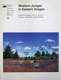 Western juniper in eastern Oregon