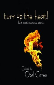 Turn Up the Heat: Best Erotic Romance Novellas (Northern Heat)