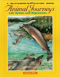 Animals in the Wild - Animal Journeys (Animals in the Wild)