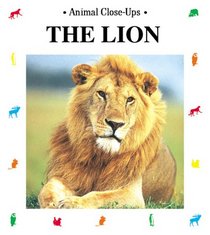 The Lion: King of the Beasts (Animal Close-Ups)