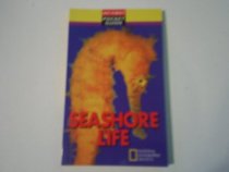 Seashore life (My First Pocket Guide)
