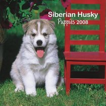 Siberian Husky Puppies 2008 Mini Wall Calendar (German, French, Spanish and English Edition)
