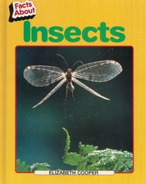 Insects (Facts About)
