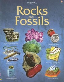 Rocks & Fossils (Hobby Guides)