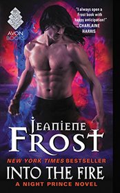 Into the Fire (Night Prince, Bk 4)