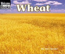 Wheat (Welcome Books: Harvesttime (Pb))