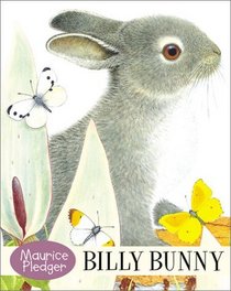 Billy Bunny Board Book