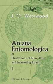 Arcana Entomologica; or, Illustrations of New, Rare and Interesting Insects: Volume 1
