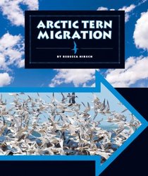 Arctic Tern Migration (Animal Migrations)
