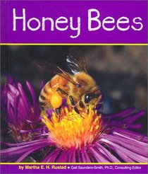 Honey Bees (Pebble Books)